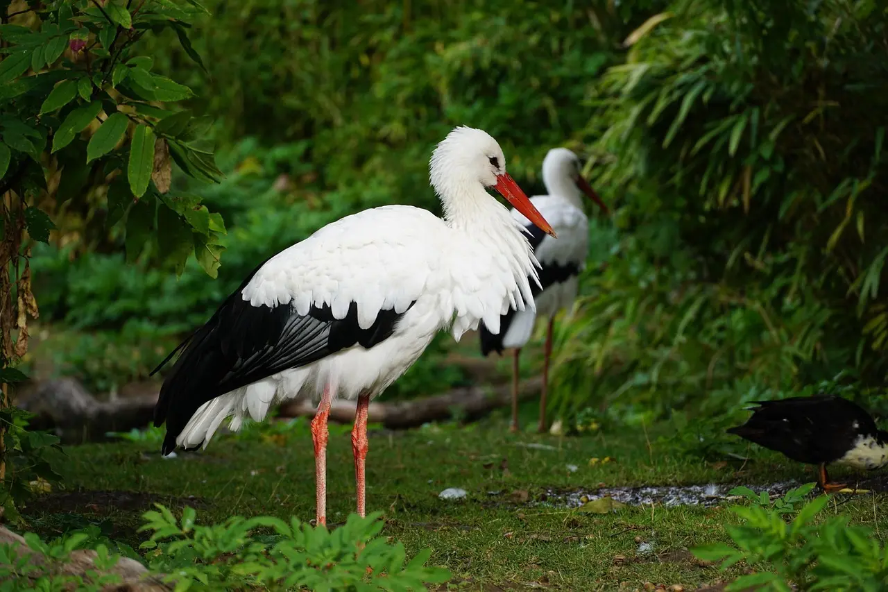 Kan jeg bruge en babyrangle til at træne mit barns motorik?